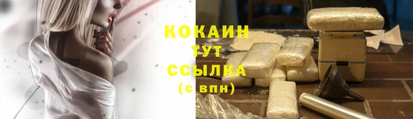 гидра Липки