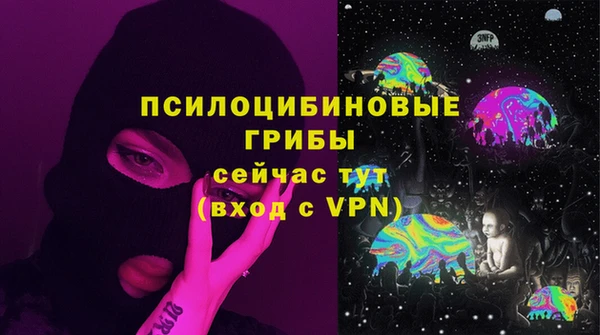 мяу мяу мука Майский